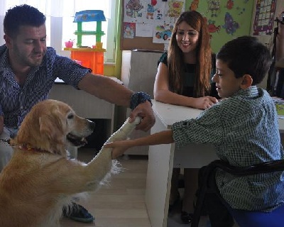 Konuşma Güçlüğü Çeken Çocuklara Köpeklerle Tedavi